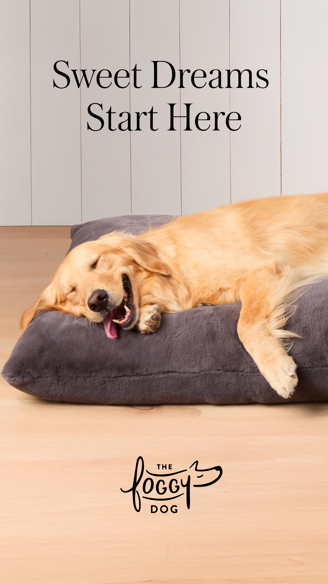 The Foggy Dog Facebook ad