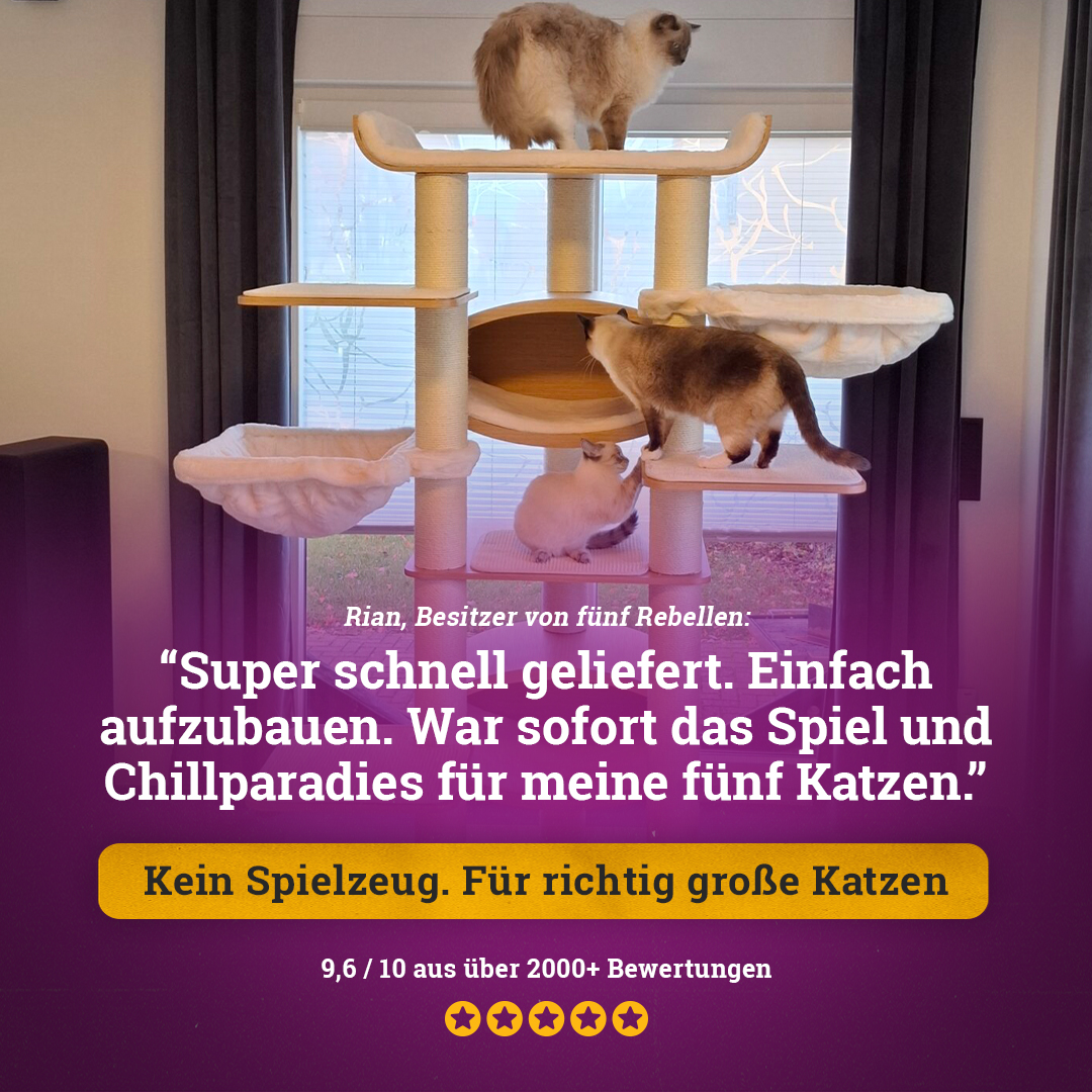 petrebels.com Facebook ad: Qualität, die bleibt