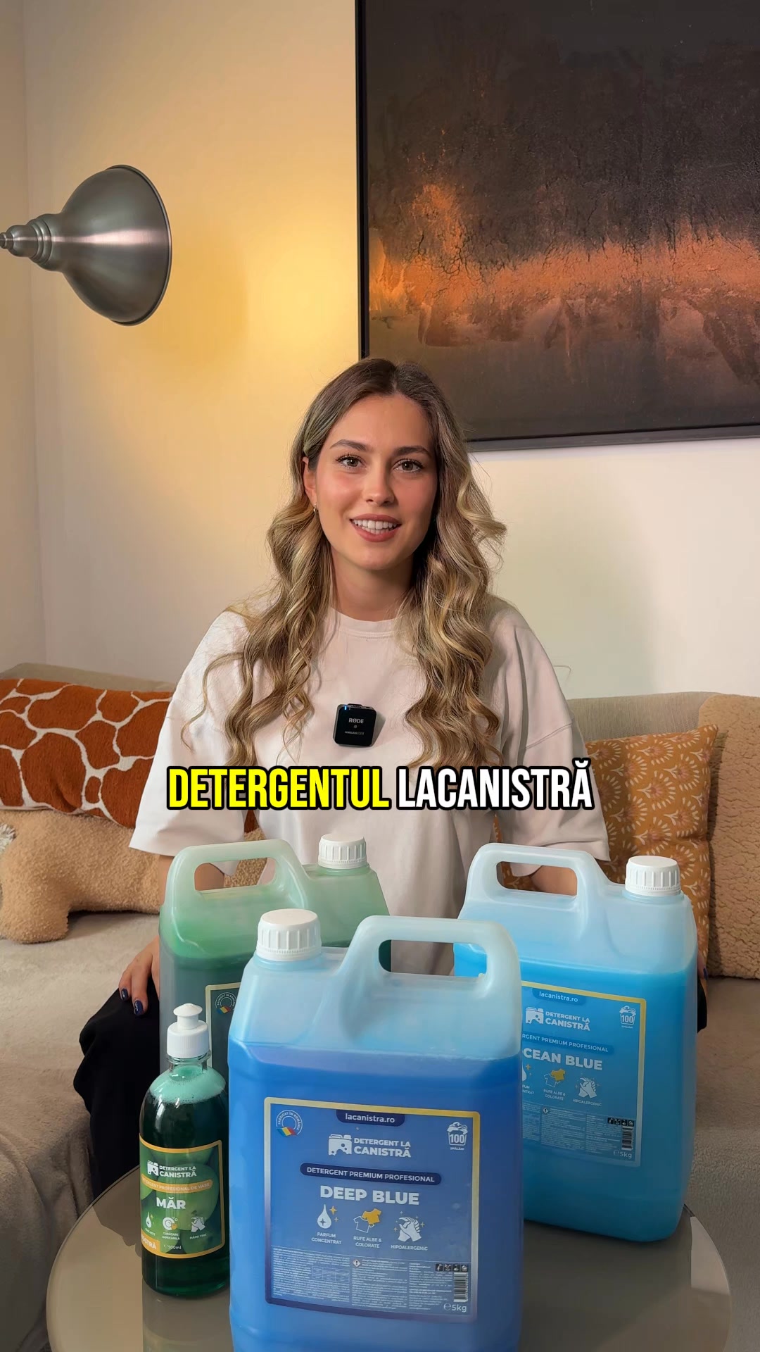 LaCanistra.ro Facebook ad: Detergenți pentru Studenți