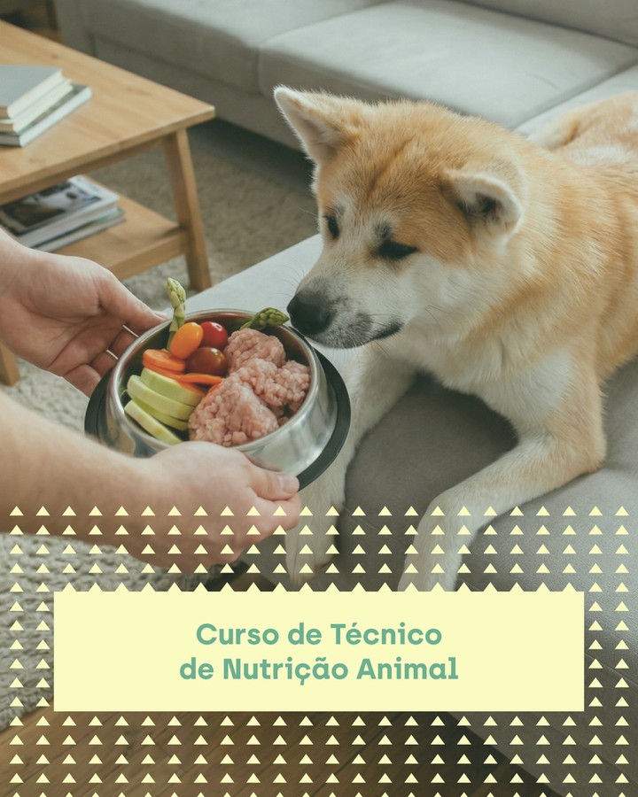 Nubika Portugal Facebook ad