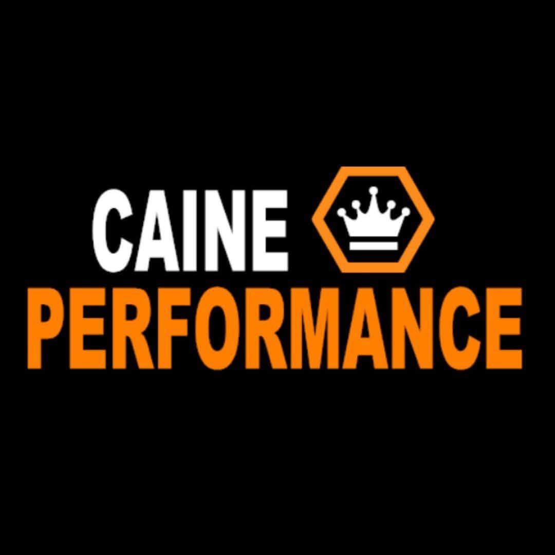 CainePerformance Facebook ad: Some people sell hype.