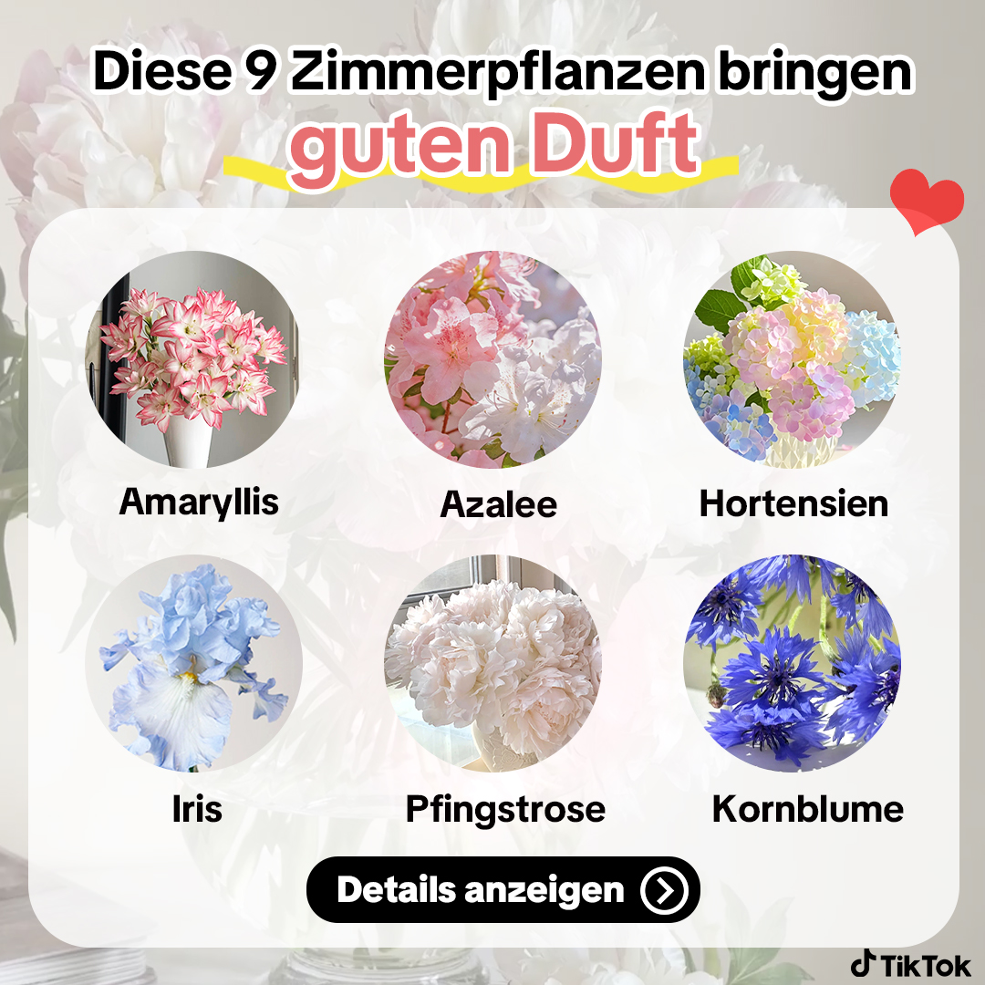 TikTok - EU Facebook ad