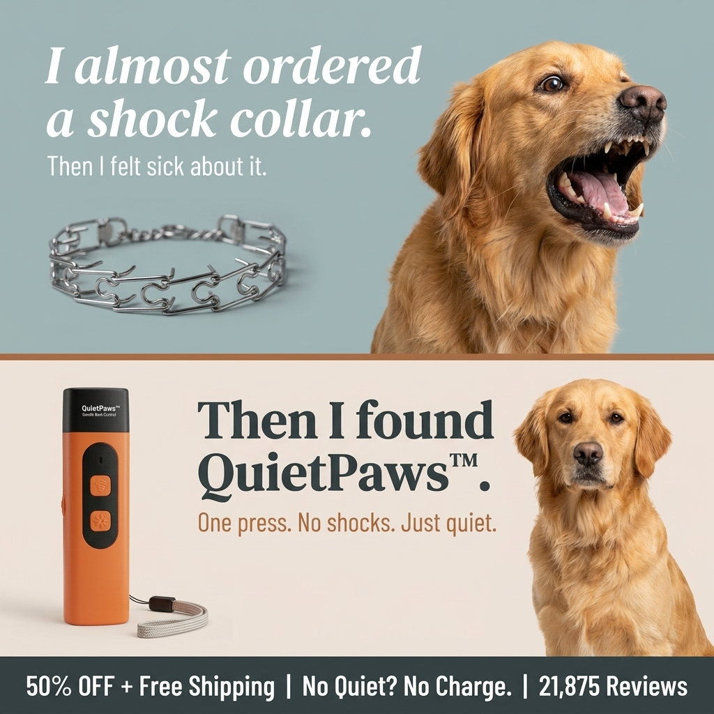 Hunters Doggy Daycare Facebook ad