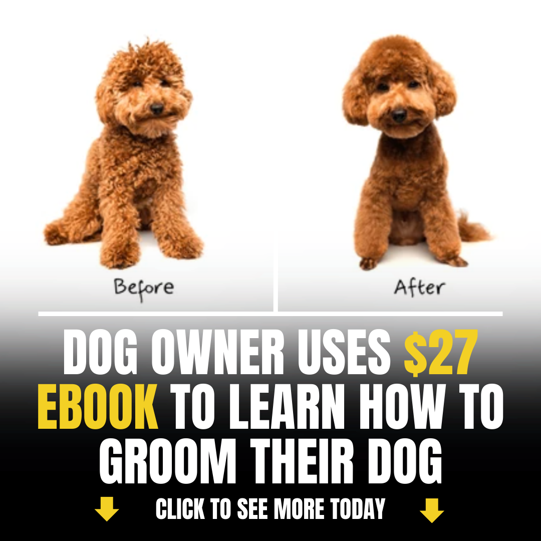 Shelley The Dog Groomer Facebook ad