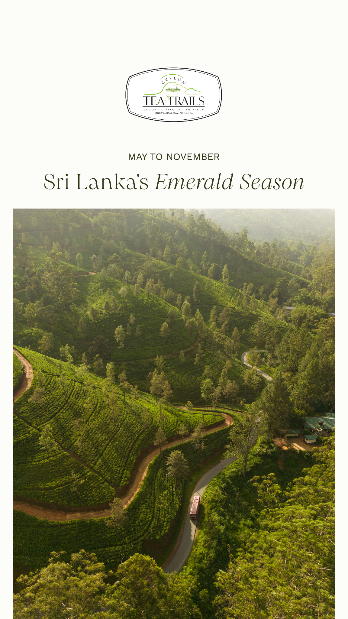 Ceylon Tea Trails Facebook ad