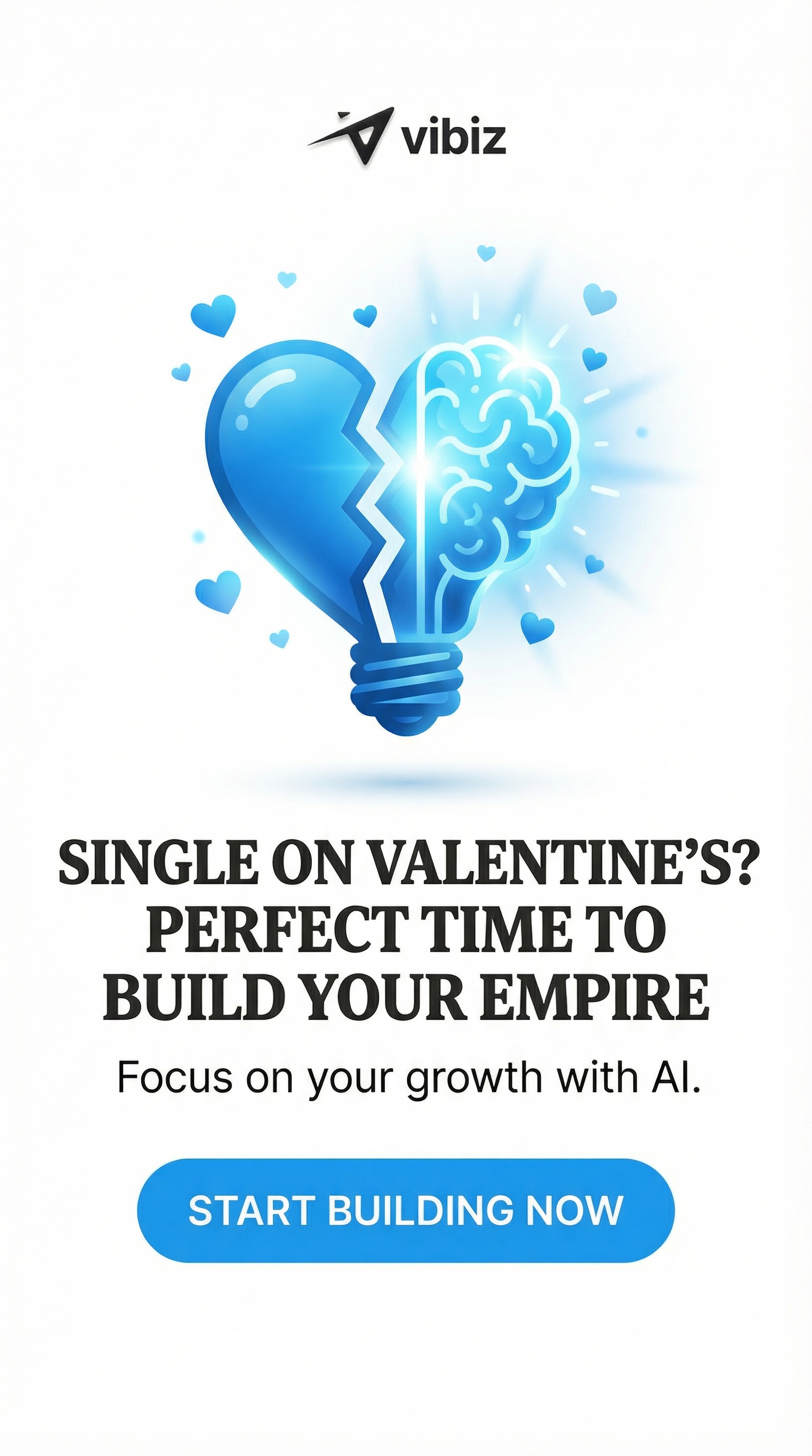 Vibiz Facebook ad