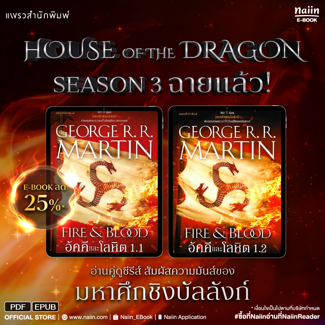 Naiin E-Book Facebook ad