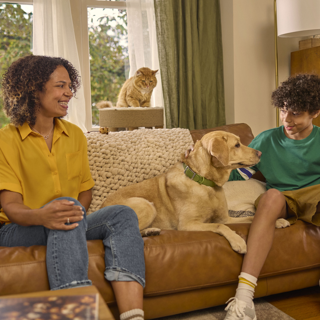 Petco Facebook ad
