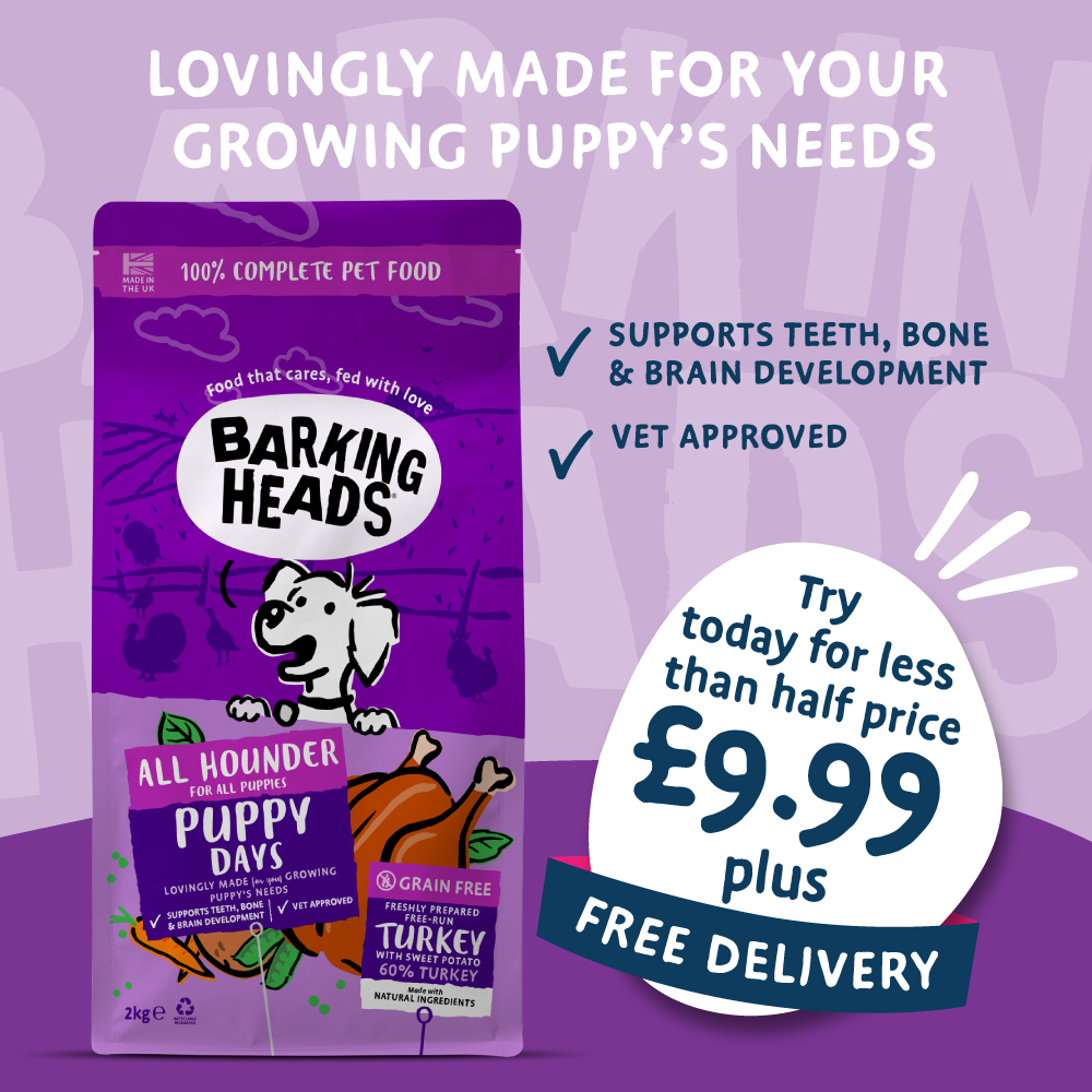 Barking Heads and Meowing Heads Facebook ad from Apr 6, 2026