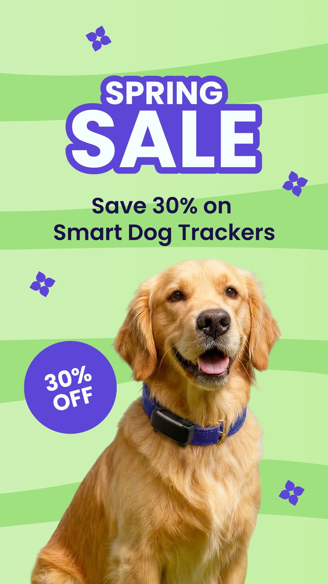 Tractive Facebook ad