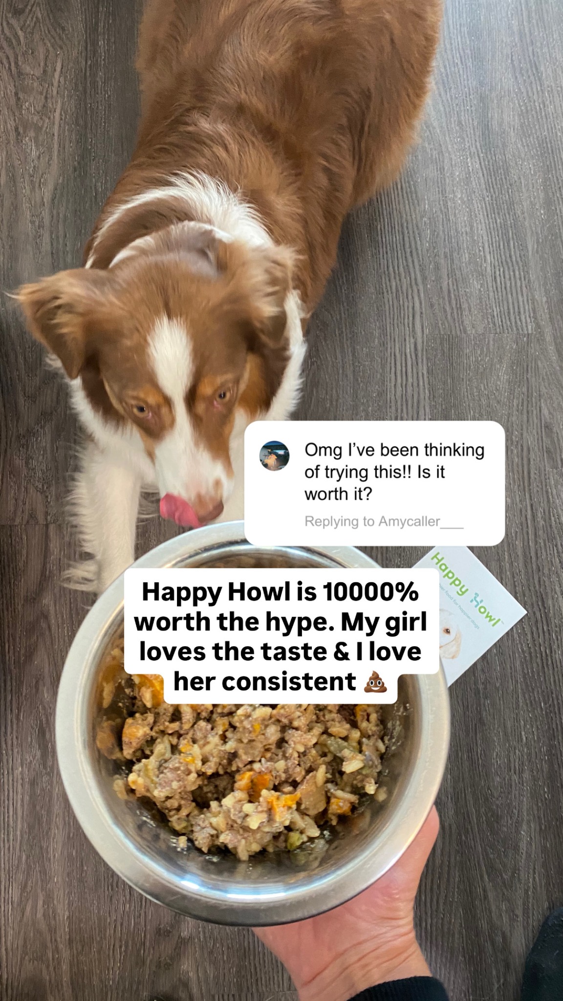 Happy Howl Facebook ad