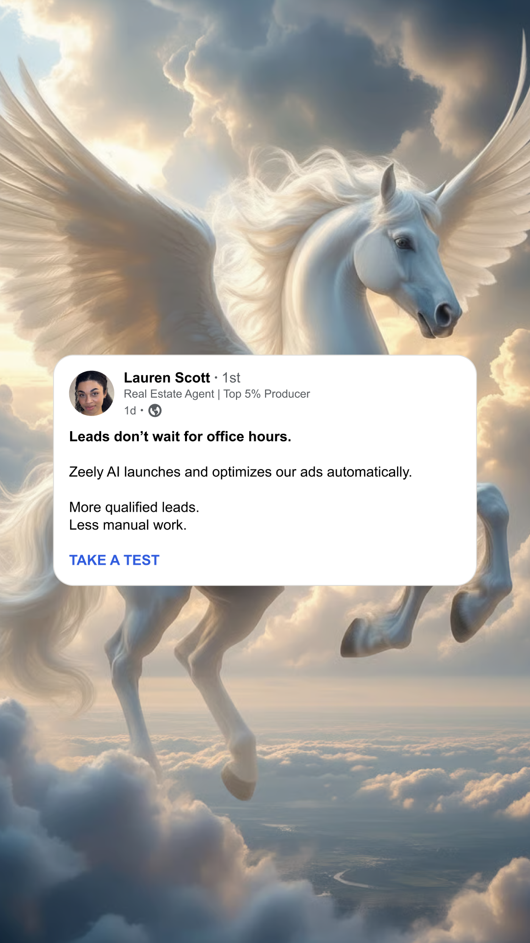 Zeely Facebook ad