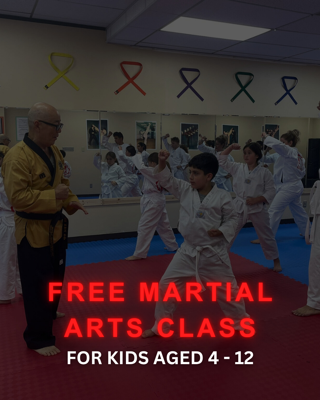 Grand Master Lee Tae Kwon Do Facebook ad