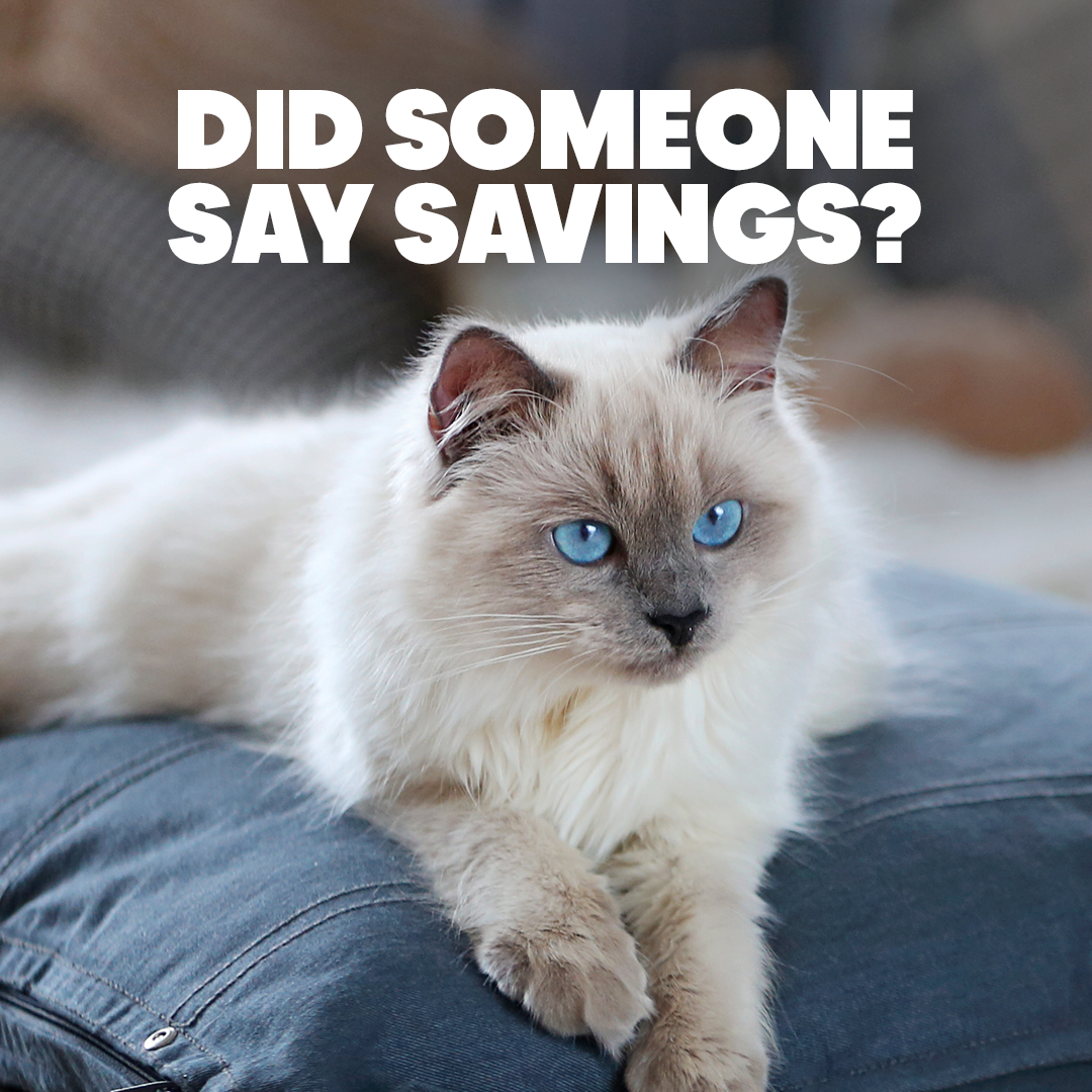 Pet Supplies Plus Facebook ad