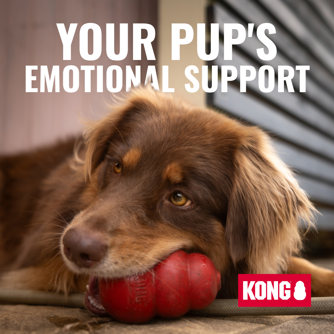 KONG Facebook ad