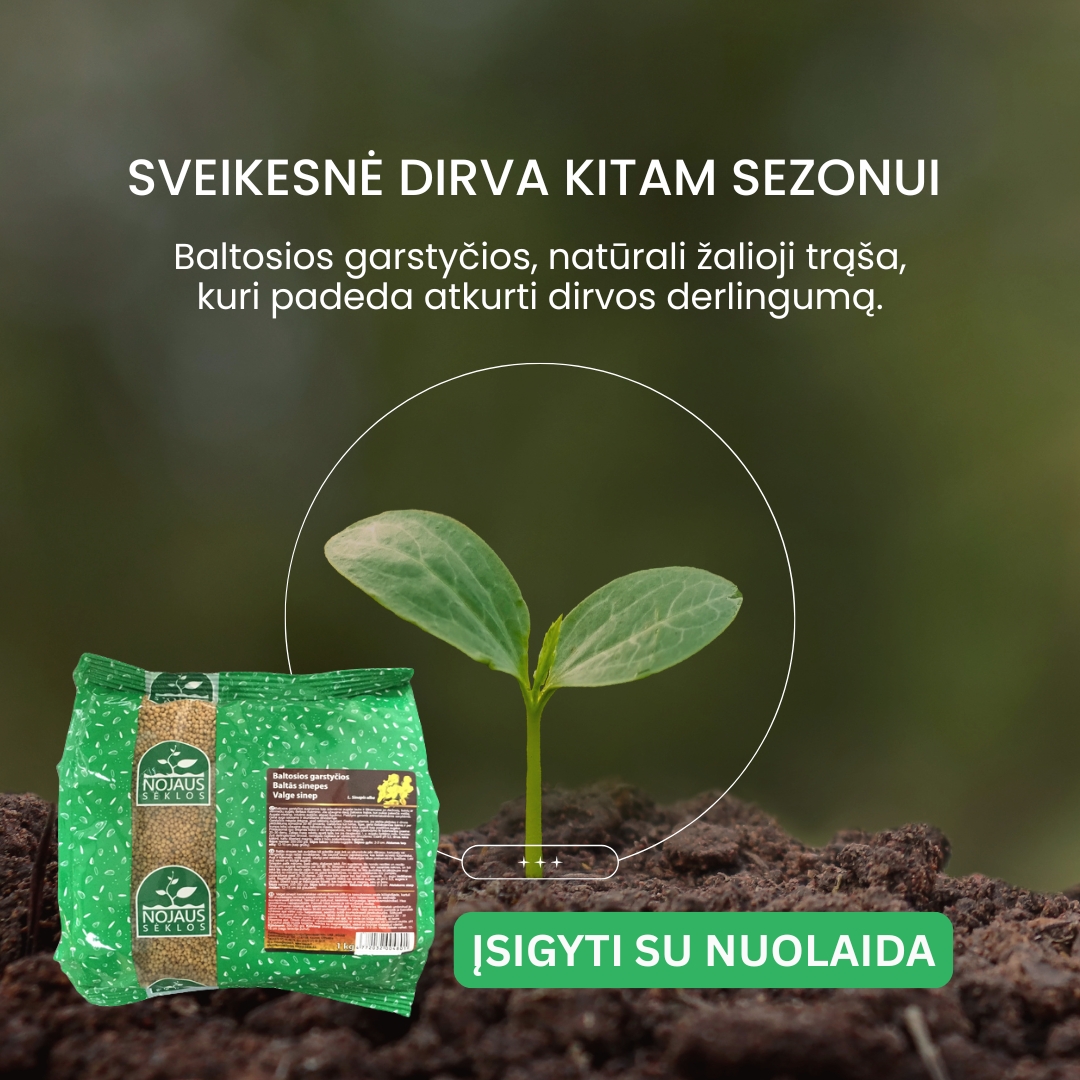 Nojaus sėklos Facebook ad: PRIKELK savo žemę antram gyvenimui!