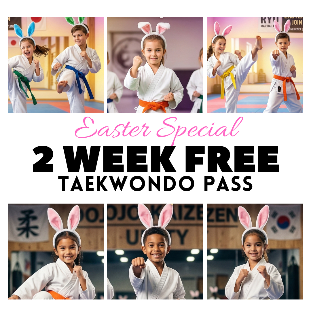 Master Lee's US Taekwondo Dartmouth Facebook ad