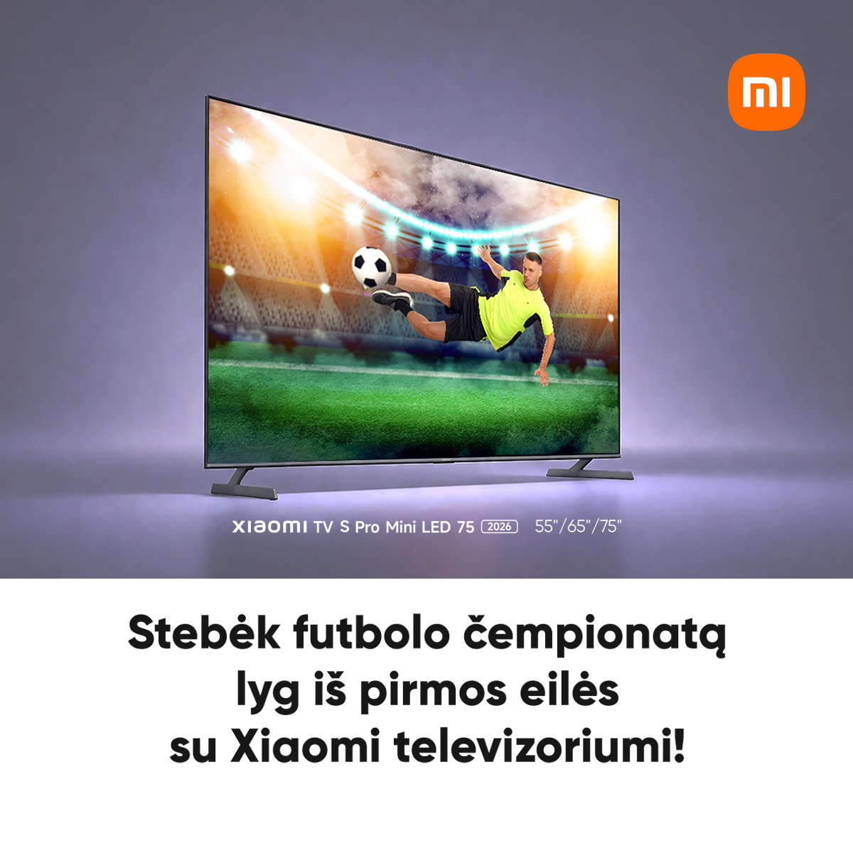 Pigu.lt Facebook ad
