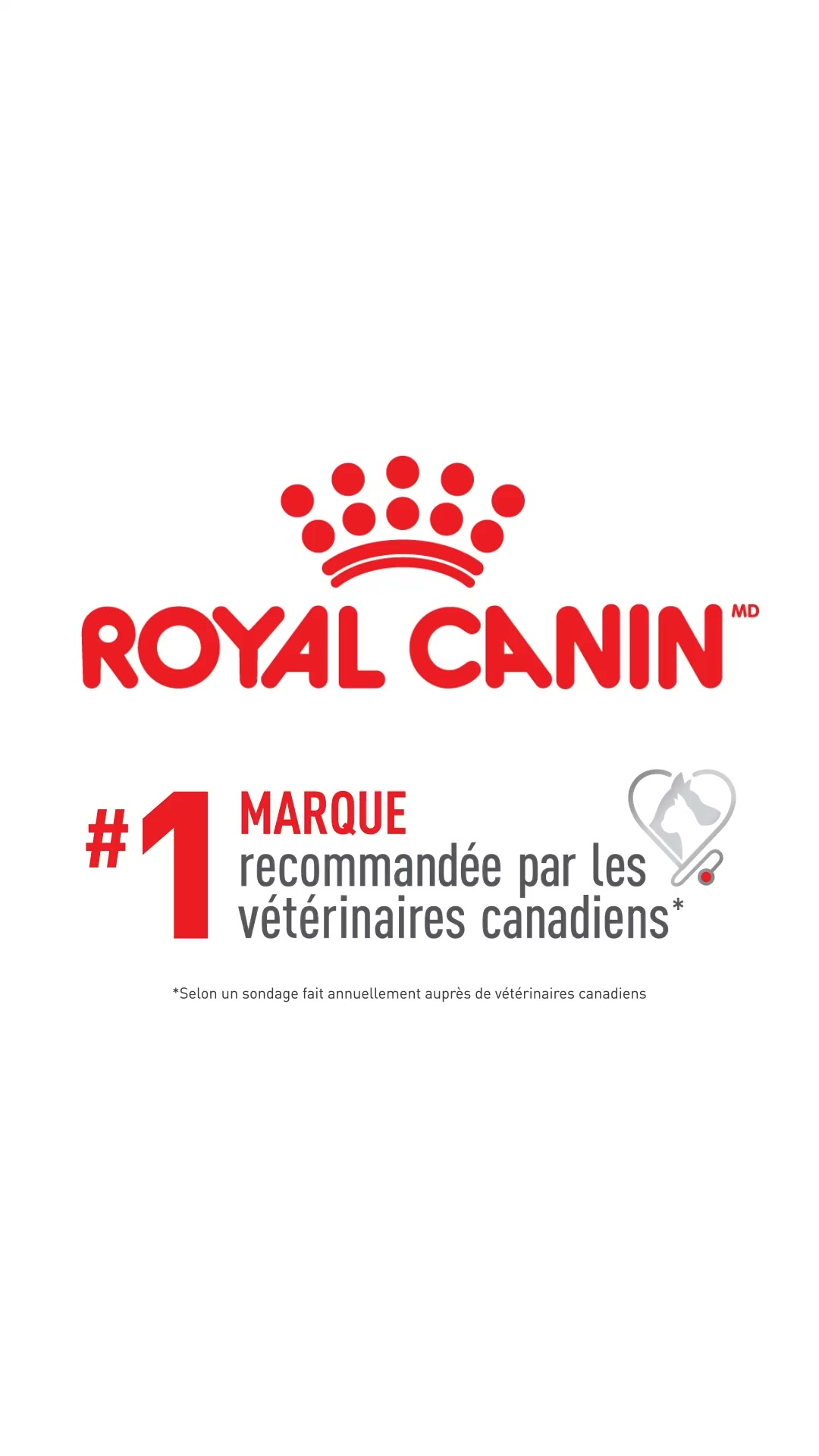 Royal Canin Facebook ad: Nutrition pour Yorkshire Terrier