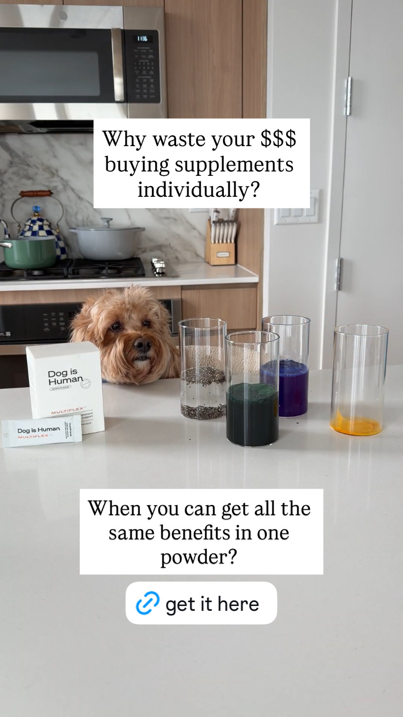 Dog is Human Facebook ad
