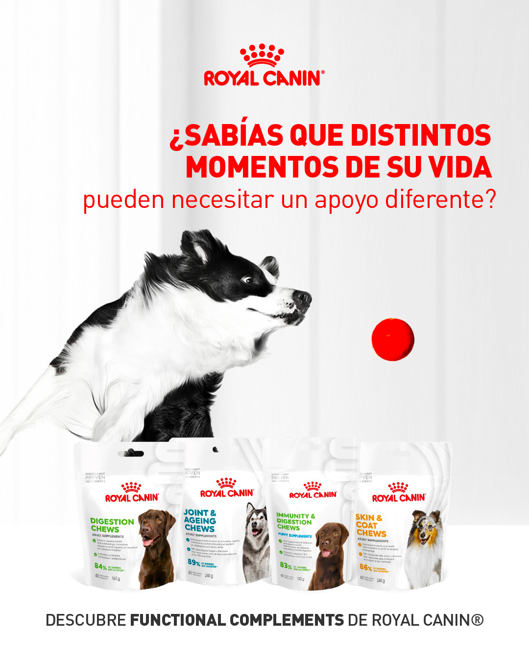 Royal Canin Facebook ad: Cuidarlo va más allá de una rutina.