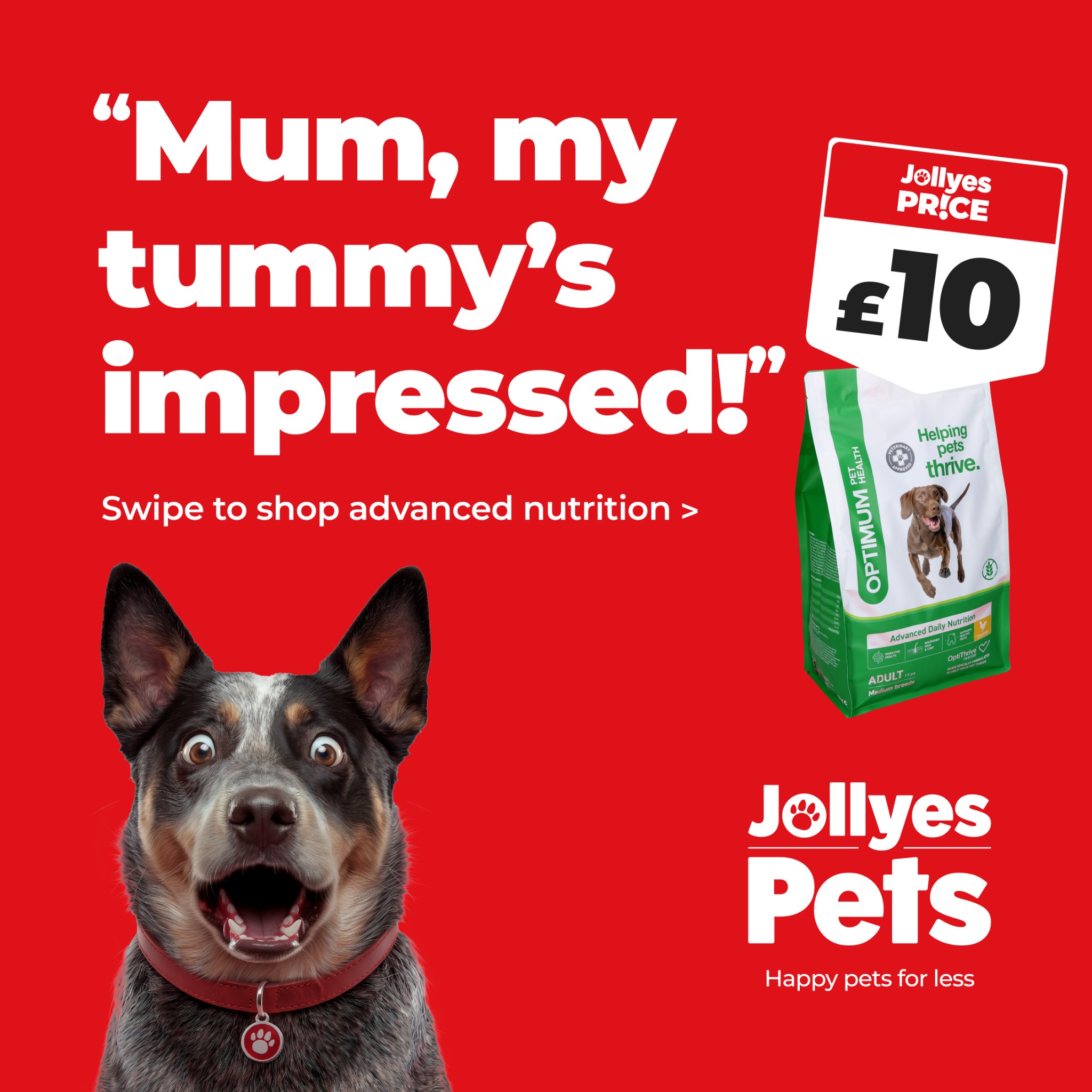 Jollyes - The Pet People Facebook ad: For advanced nutrition without the price tag, discover…