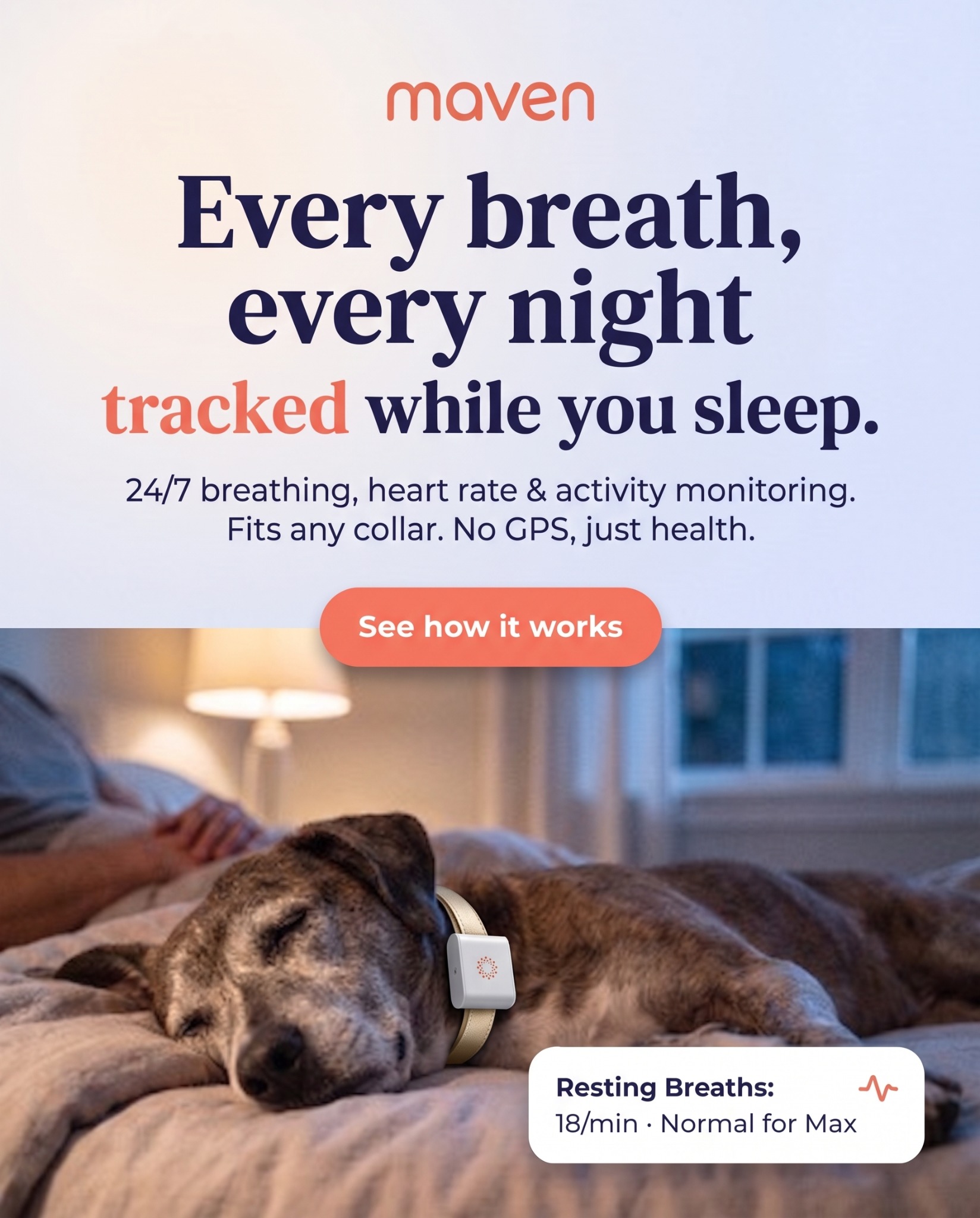 Maven Pet Facebook ad