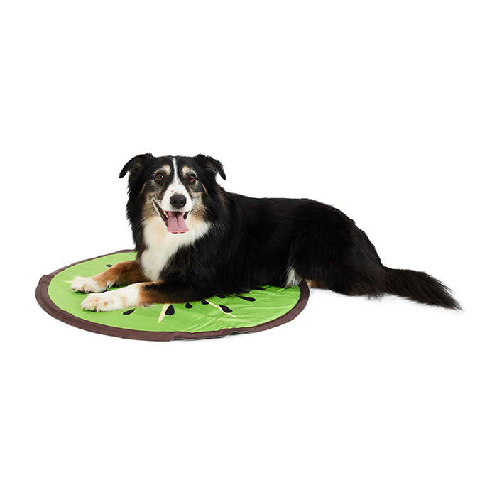 Petbarn Facebook ad