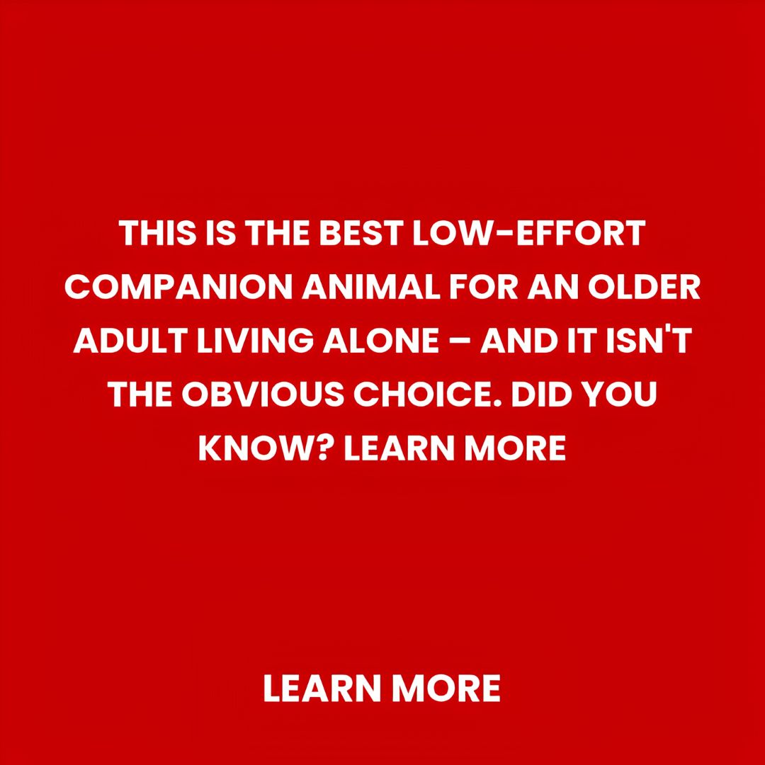 The Information Center Facebook ad