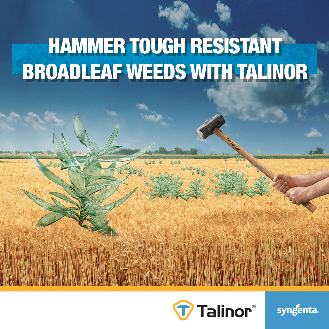 Syngenta US Facebook ad: Unlock the best solution for efficient, one-pass weed…