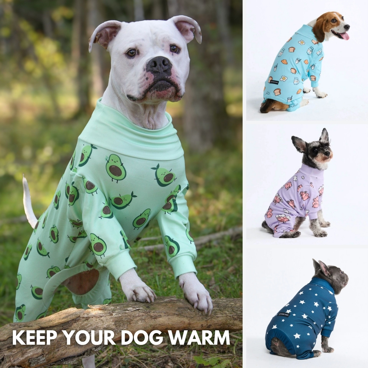 Spark Paws Facebook ad