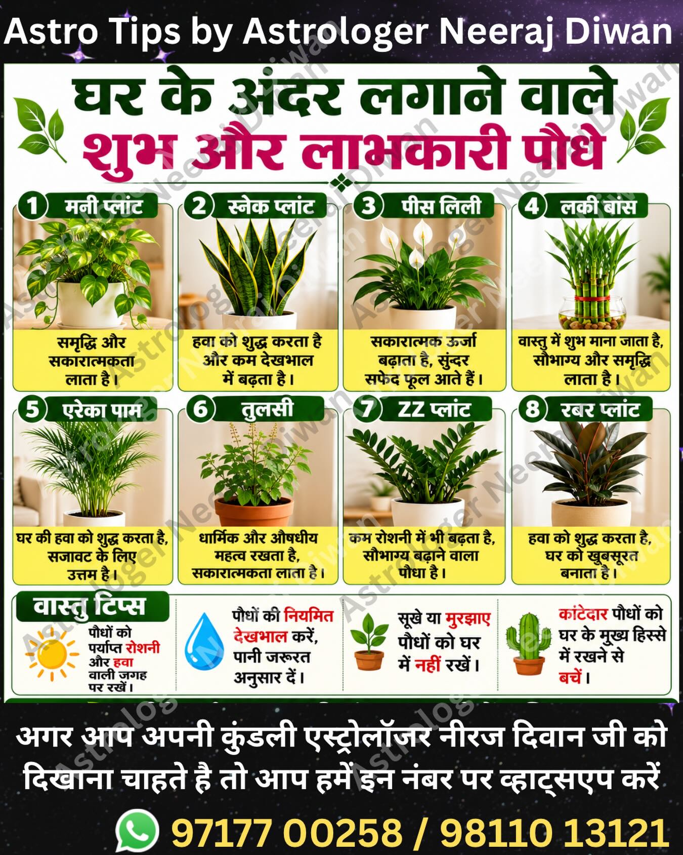 Astrologer Neeraj Diwan Facebook ad: Astrology