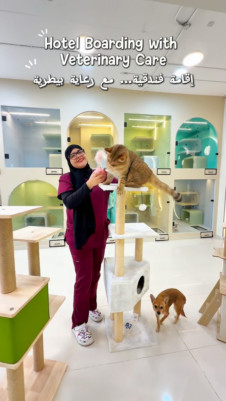 Fluffy veterinary clinic Facebook ad: � سافر وأنت مرتاح… وأليفك بأيدٍ أمينة.