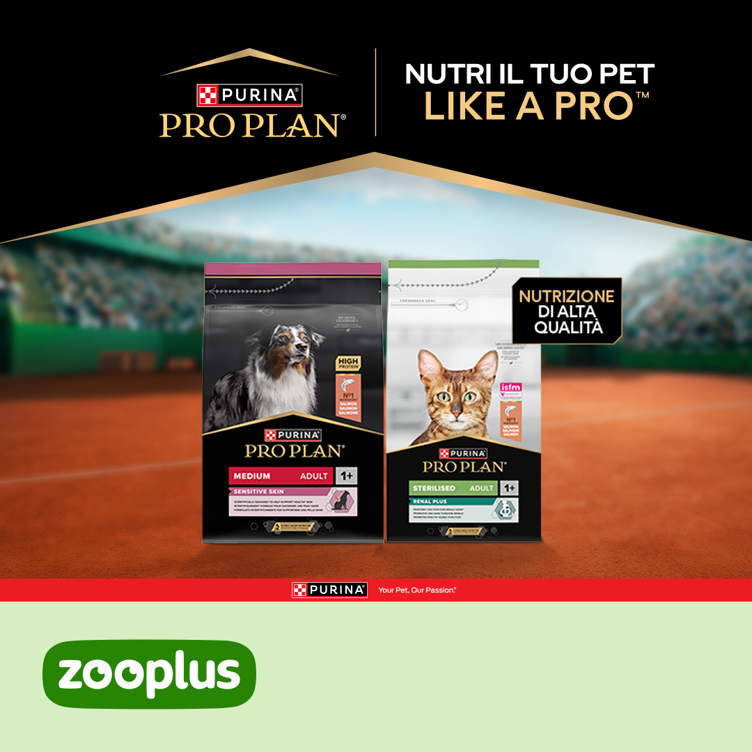 zooplus Facebook ad