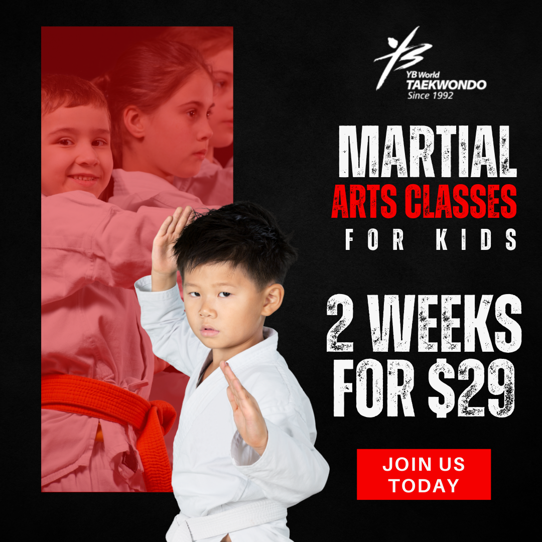 YB World Taekwondo Academy Facebook ad