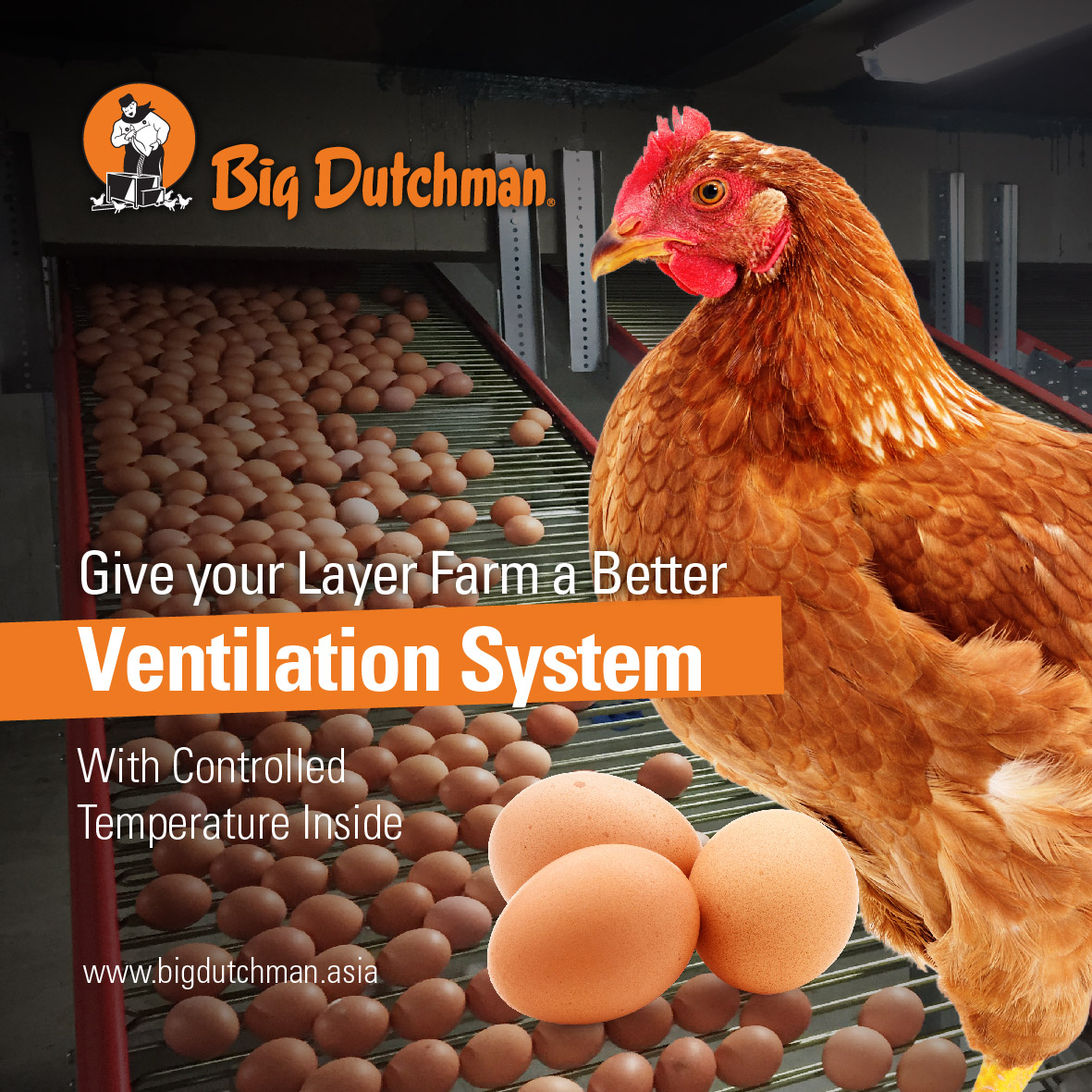 Big Dutchman Malaysia Facebook ad