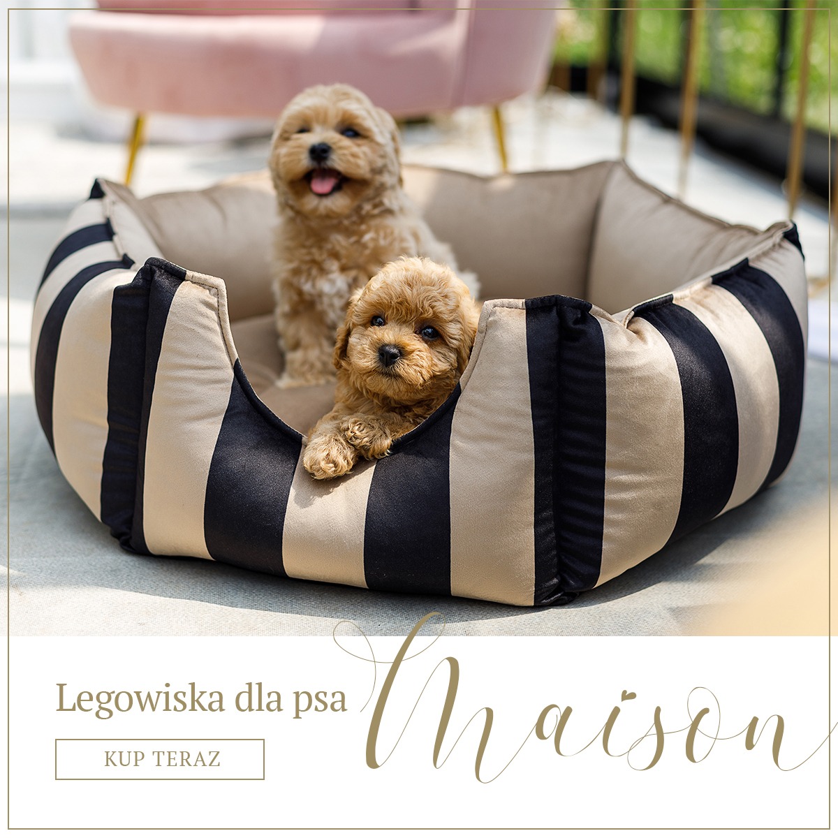 Oh Charlie - luxury pet accessories Facebook ad