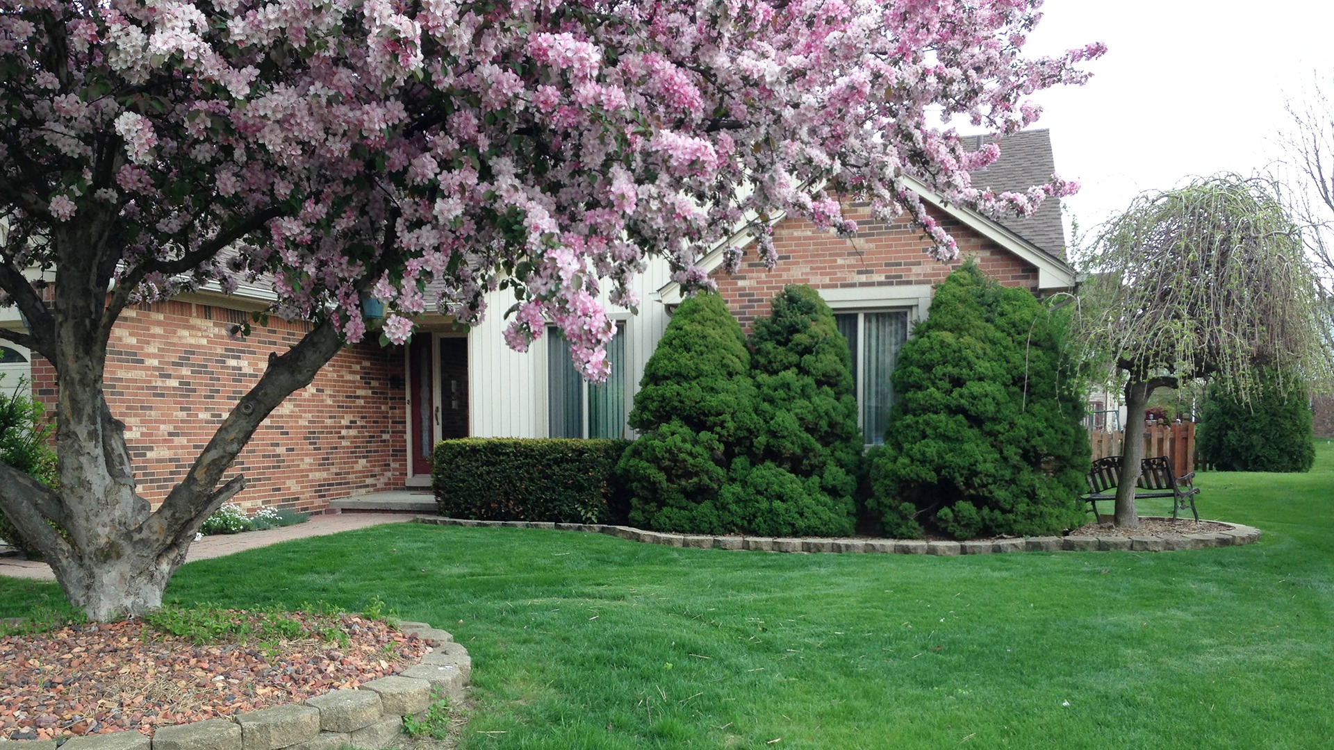 Teddy's Lawn & Landscape Facebook ad