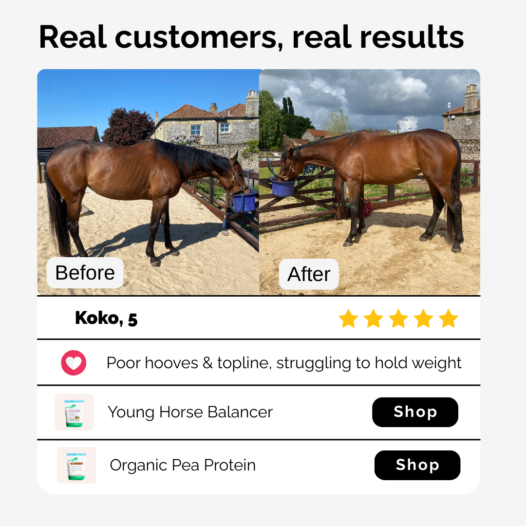 Forageplus Facebook ad: Your Horse Deserves Better