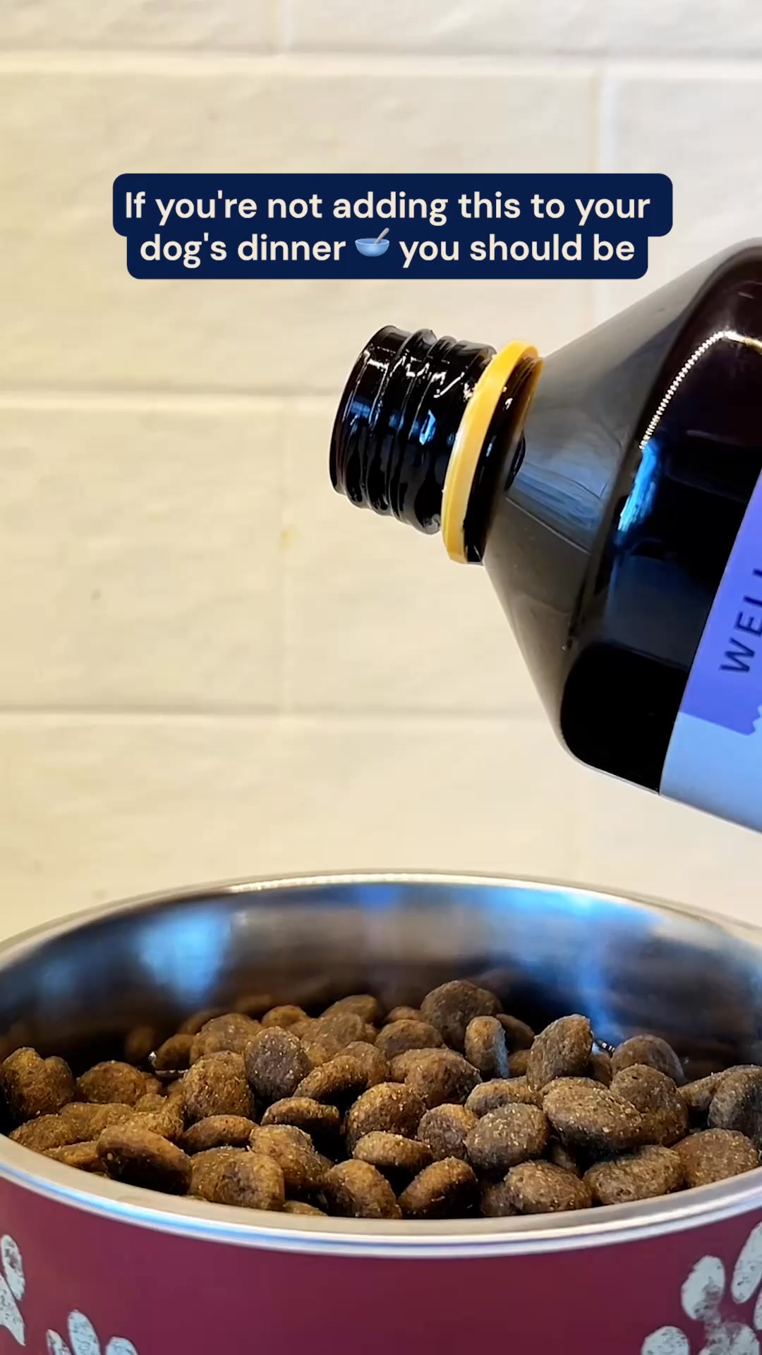 Pooch & Mutt Facebook ad: Salmon Oil for Dogs