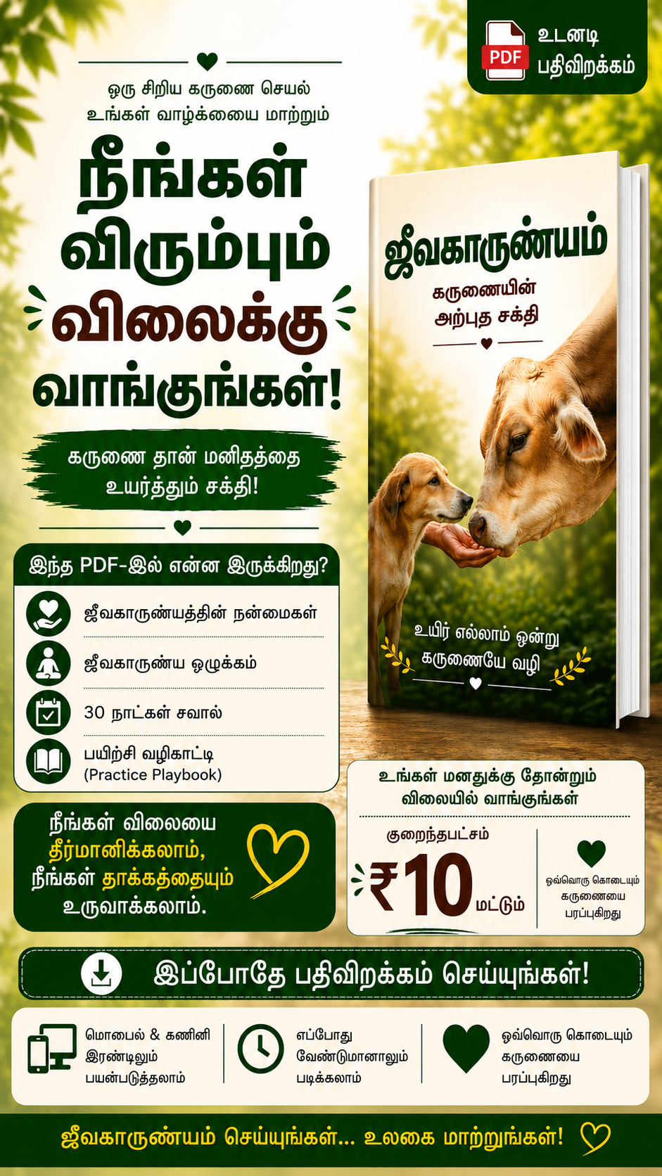 IP Dreamz Facebook ad
