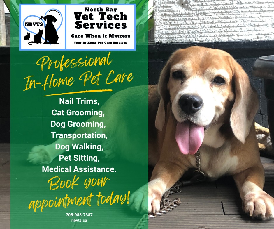 North Bay Vet Tech Services Facebook ad: Book your appointment today!