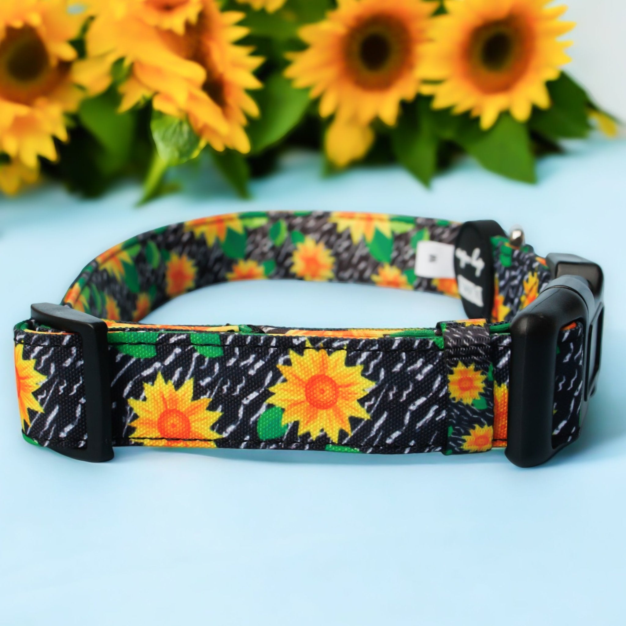 Dizzy Dog Collars Facebook ad: Shop our collection