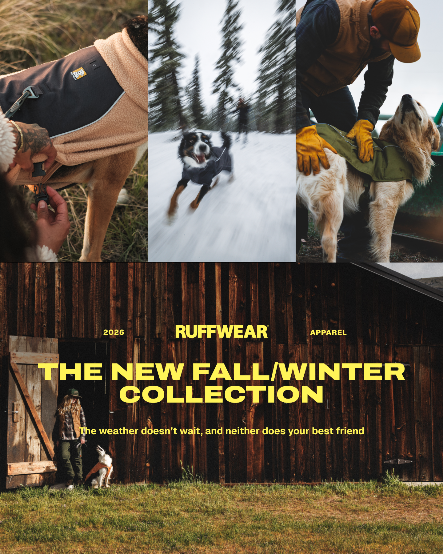 Ruffwear Facebook ad