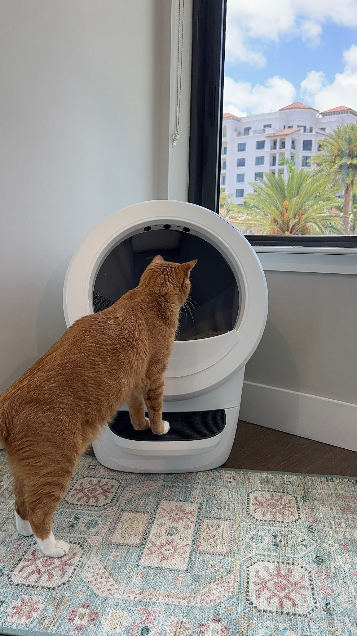 Litter-Robot by Whisker Facebook ad