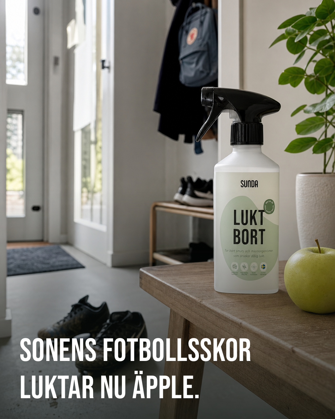 Sunda Facebook ad