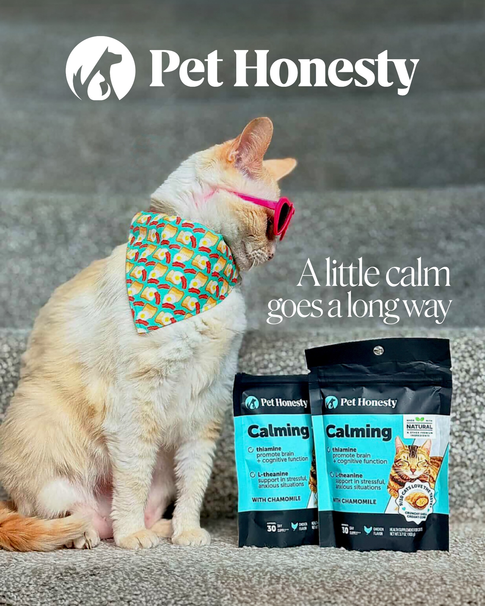 Pet Supplies Plus Facebook ad
