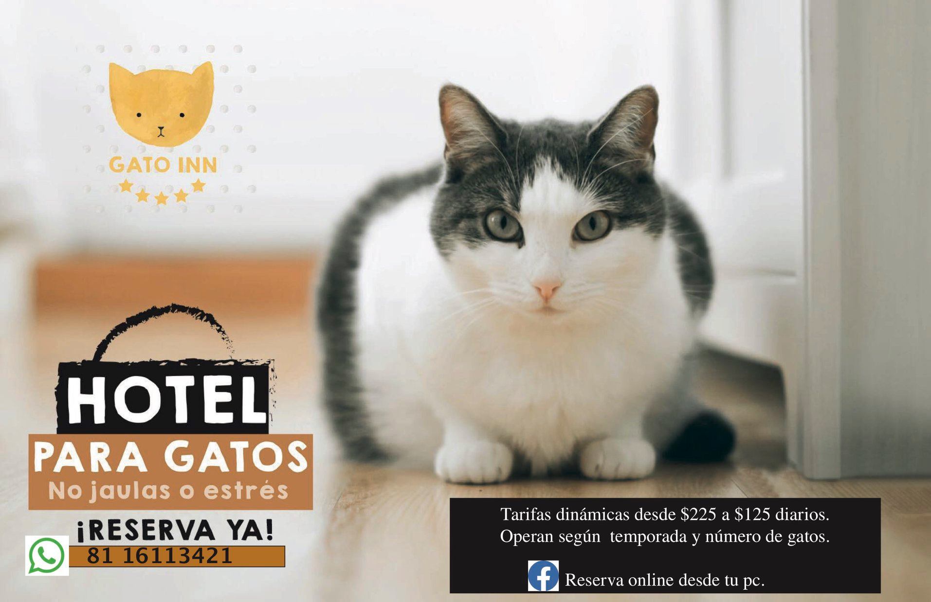 GATO INN Monterrey Facebook ad: Sales de vacaciones?