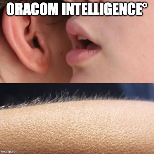 Oracom GmbH Facebook ad: Oracom Intelligence
