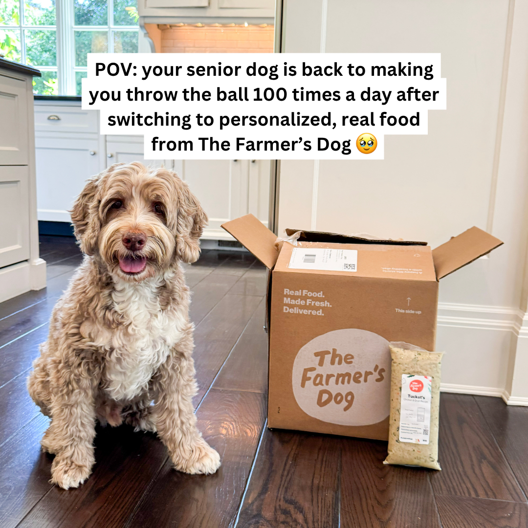 Rounds Of A Paws Facebook ad